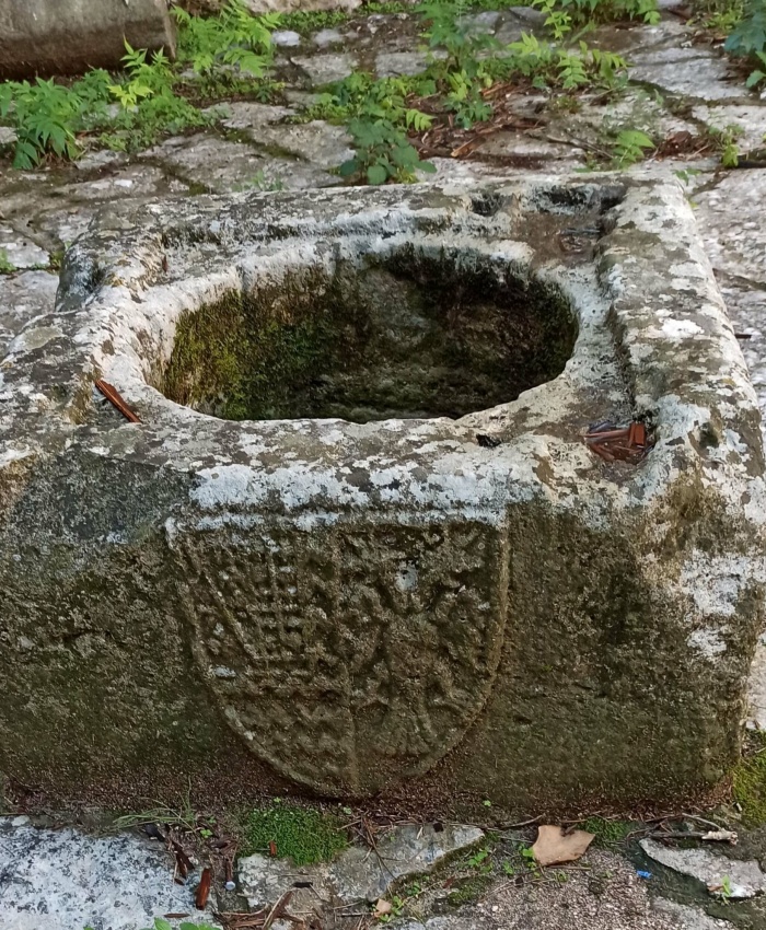 The Coat of Arms of Tocchi family
